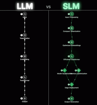 Learn SLM if you have interent in the next after LLM