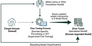 Fine-Tuning Open-Weight LLMs: Training, Licensing, and Deploying Custom Models with Ollama